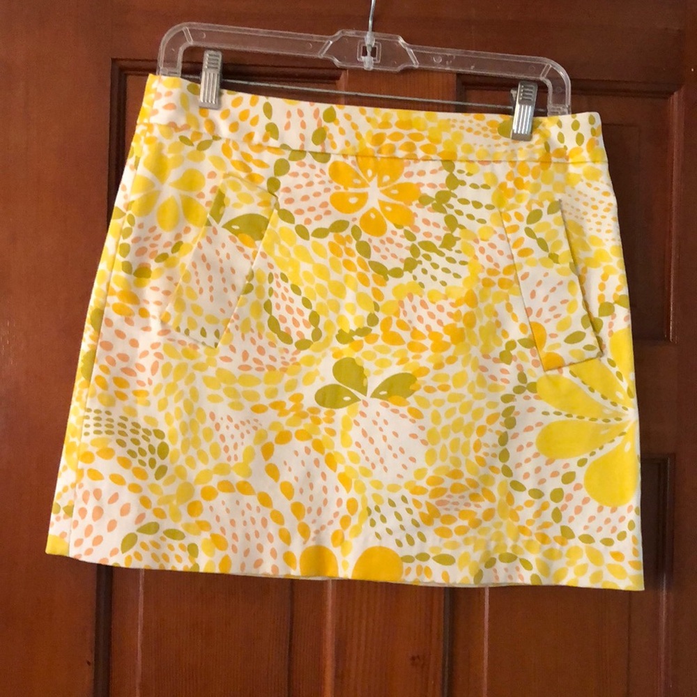 J Crew Skirt